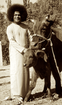 Beloved Bhagawan Sri Sathya Sai Baba